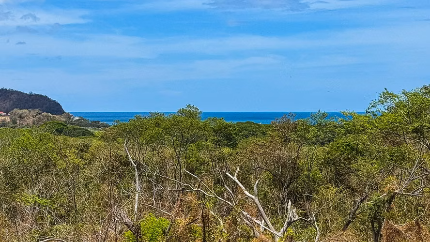 Lomas de Palermo 1.88 Acres with Stunning Ocean Views - Imagen 8