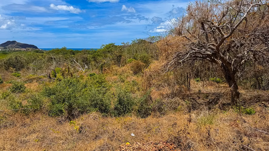 Lomas de Palermo 1.88 Acres with Stunning Ocean Views - Imagen 5
