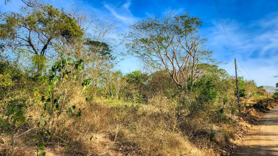 Ideal Location for Commercial or Residential Development, along the Road to Playa Majagual. - Imagen 5