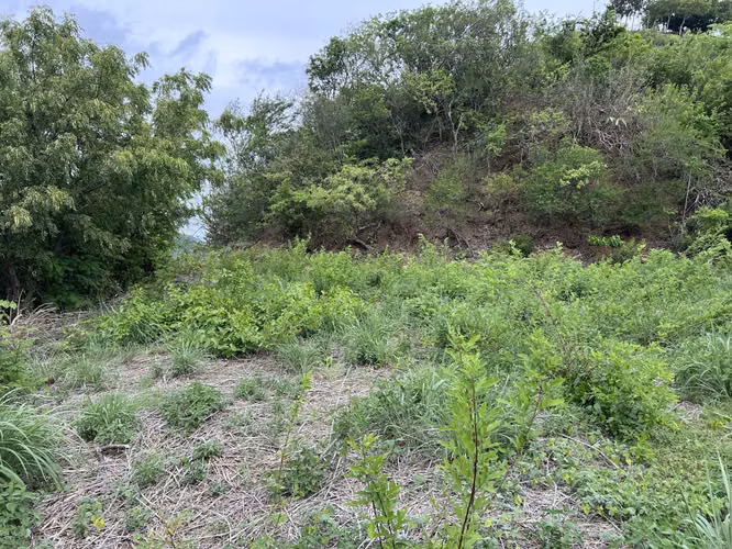 Ocean View Lot at Pacific Marlin - Imagen 8