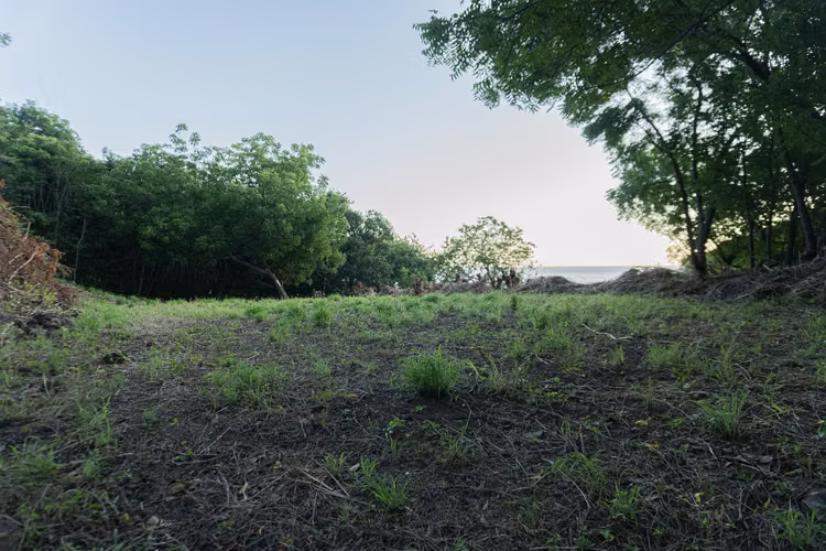 Real Estate Opportunity in Los Lamosos - Imagen 5