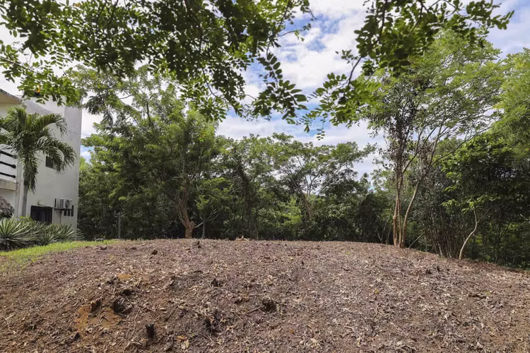 Prime 1 3 Acre Lot in Popoyo with View - Imagen 6