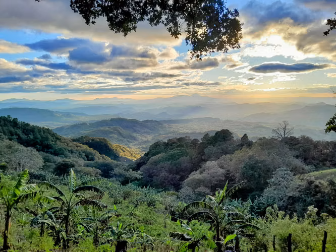 Spectacular Mountain Estate with Coffee Farm, Water Sources   Panoramic Views - Imagen 6