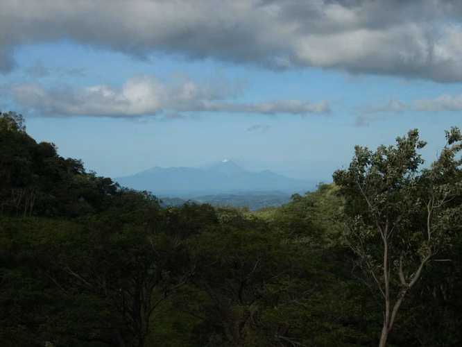 Spectacular Mountain Estate with Coffee Farm, Water Sources   Panoramic Views - Imagen 12