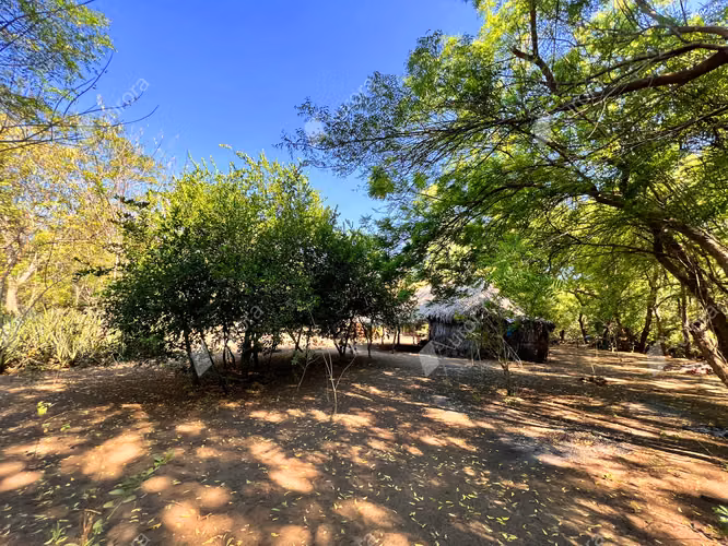 Coastal Farm with Strong Development Potential in Jiquilillo, 6 Manzanas Steps from the Beach - Imagen 6