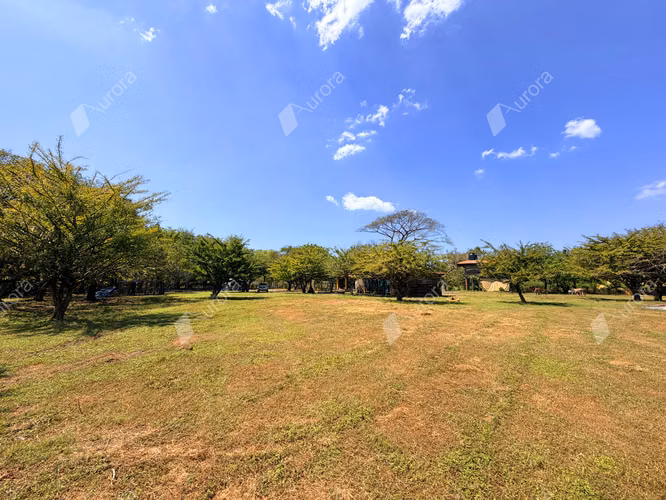 Coastal Farm with Strong Development Potential in Jiquilillo, 6 Manzanas Steps from the Beach - Imagen 14