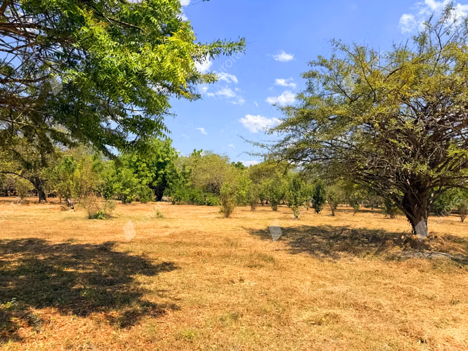 Coastal Farm with Strong Development Potential in Jiquilillo, 6 Manzanas Steps from the Beach - Imagen 10