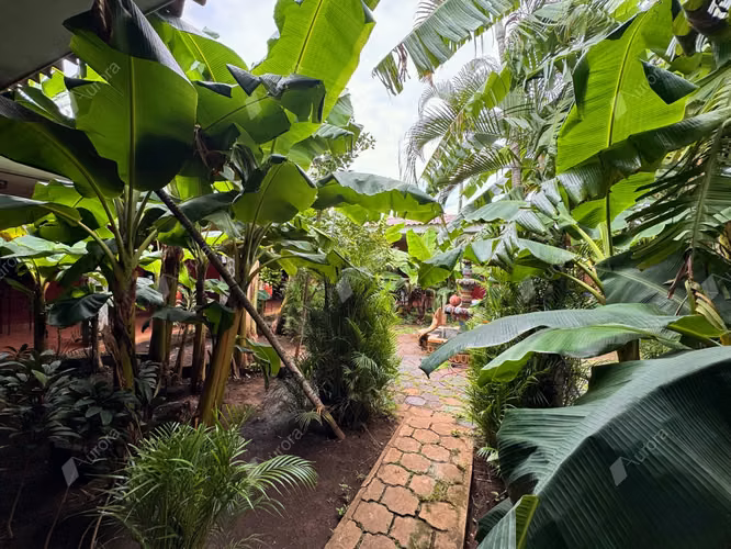 Spacious Family Home with Lush Courtyard   Double Lot in Reparto G nesis Le n
