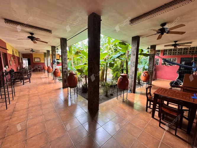 Spacious Family Home with Lush Courtyard   Double Lot in Reparto G nesis Le n