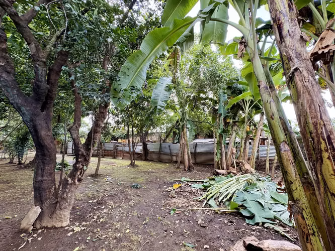 Development Opportunity to create your home or lucrative commercial Space - Imagen 8