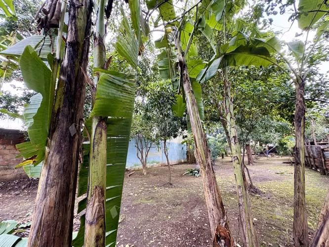 Development Opportunity to create your home or lucrative commercial Space - Imagen 7