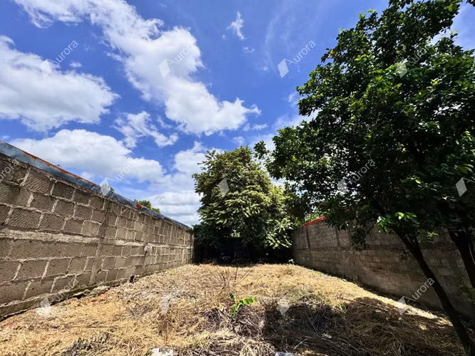 Prime Lot in Leon Center  A Developers Dream - Imagen 8