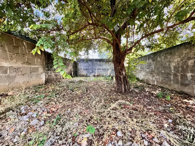 Prime Lot in Leon Center  A Developers Dream - Imagen 7