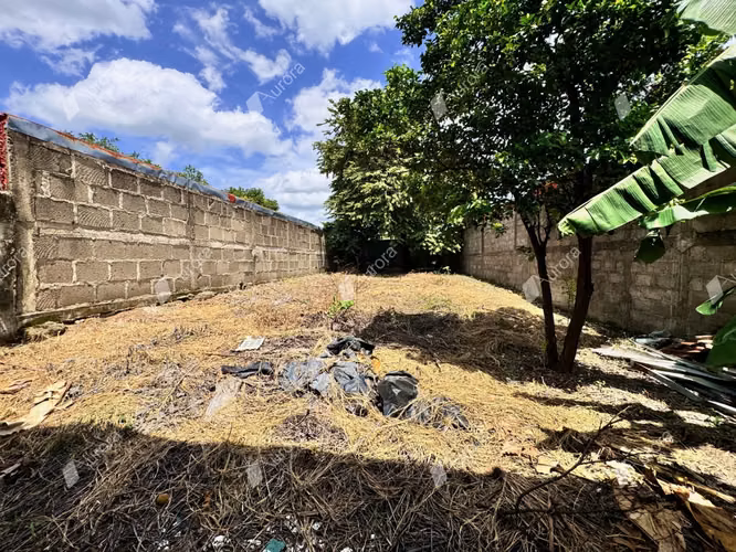 Prime Lot in Leon Center  A Developers Dream - Imagen 5