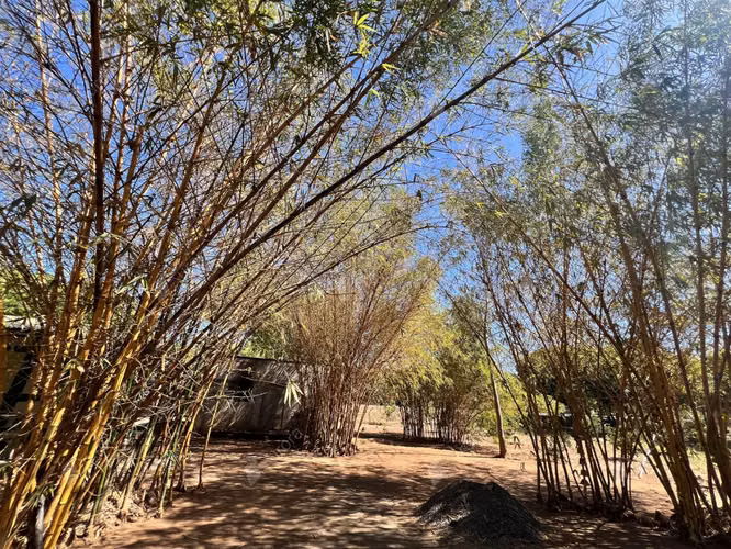 Teak Haven  New Home with Plantation Potential near Leon   Beaches - Imagen 9