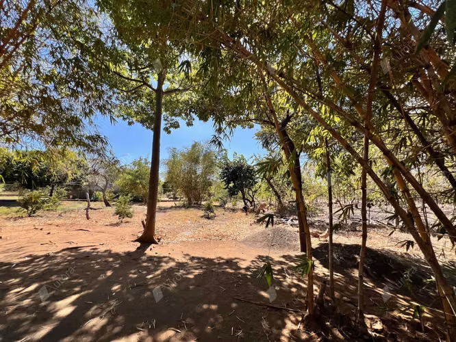 Teak Haven  New Home with Plantation Potential near Leon   Beaches - Imagen 8