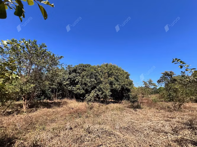 Tranquil Farm Retreat on the Road to Leon   Beaches - Imagen 17