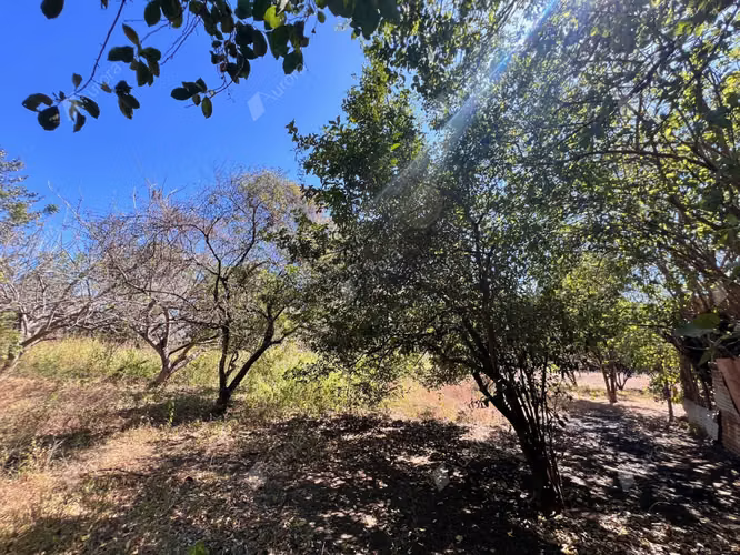 Tranquil Farm Retreat on the Road to Leon   Beaches - Imagen 8