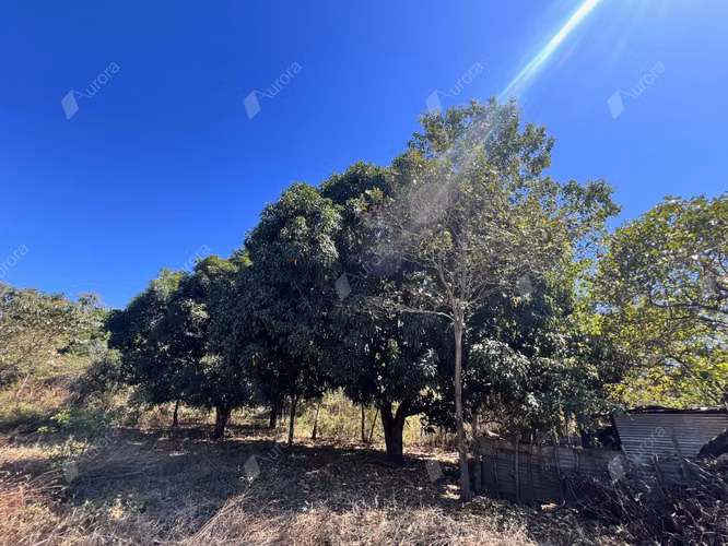 Tranquil Farm Retreat on the Road to Leon   Beaches - Imagen 16