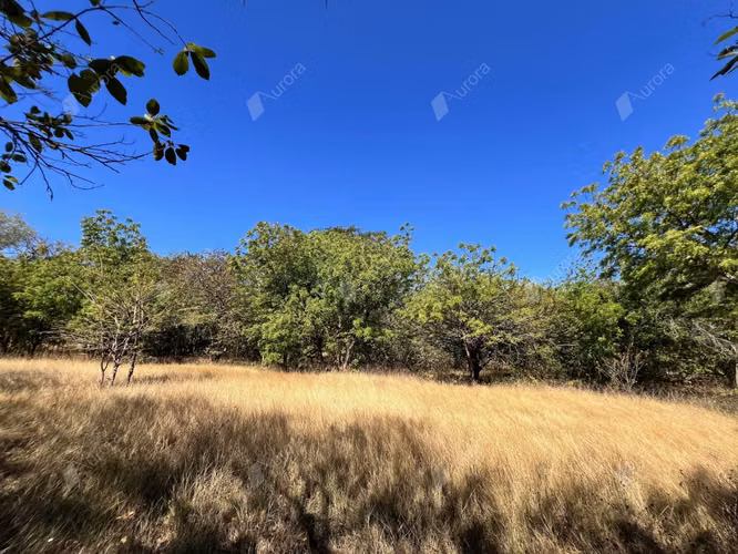 Farm with Fruit Trees, House, and Easy Access between Leon City and Poneloya Las Pe itas Beach - Imagen 18