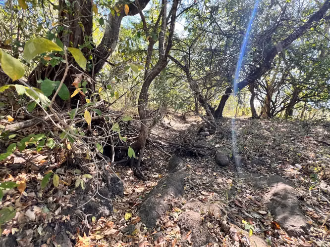 Farm with Fruit Trees, House, and Easy Access between Leon City and Poneloya Las Pe itas Beach - Imagen 20