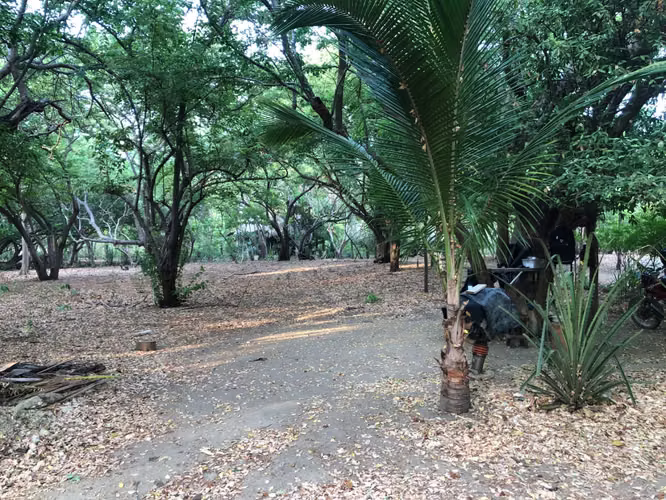Big beach Lot within coastal development. - Imagen 13