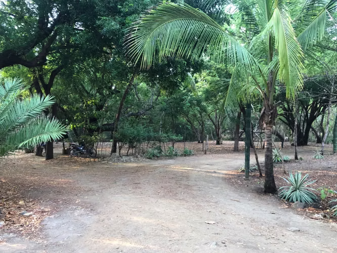 Big beach Lot within coastal development. - Imagen 8