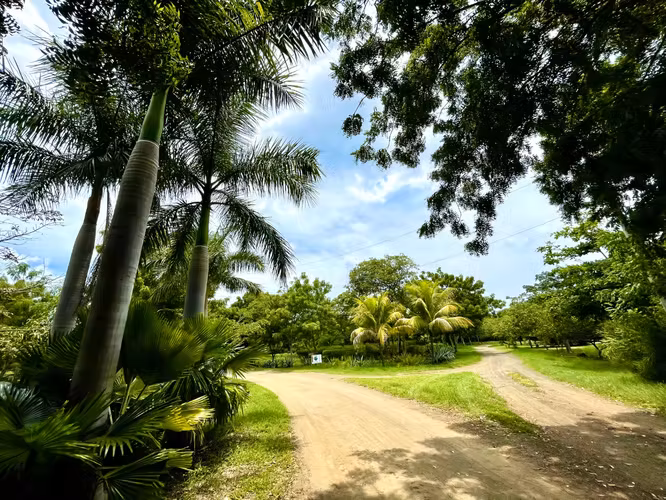 Big beach Lot within coastal development. - Imagen 12