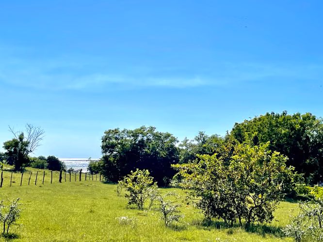 Beachfront, 6 acres titled property with small house. - Imagen 9