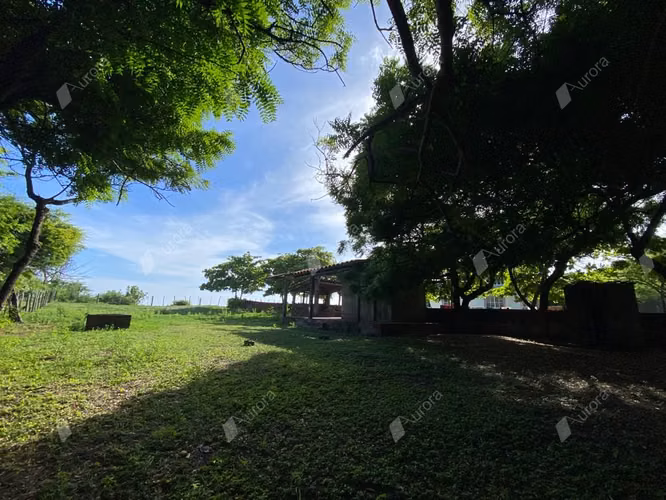 Secluded Beachfront Gem, Prime Investment Opportunity - Imagen 12