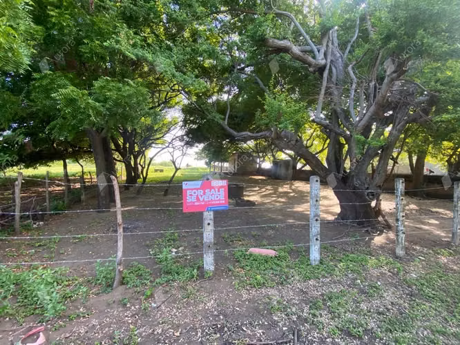 Secluded Beachfront Gem, Prime Investment Opportunity - Imagen 3
