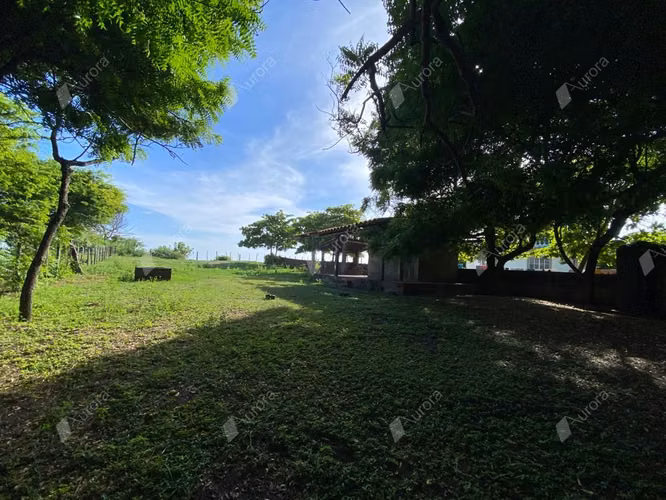 Secluded Beachfront Gem, Prime Investment Opportunity - Imagen 5