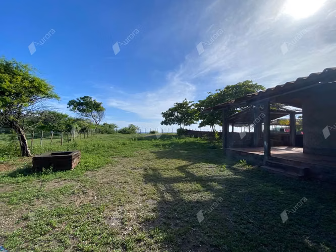Secluded Beachfront Gem, Prime Investment Opportunity - Imagen 6