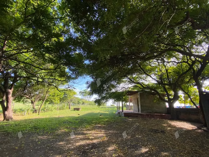 Secluded Beachfront Gem, Prime Investment Opportunity - Imagen 11