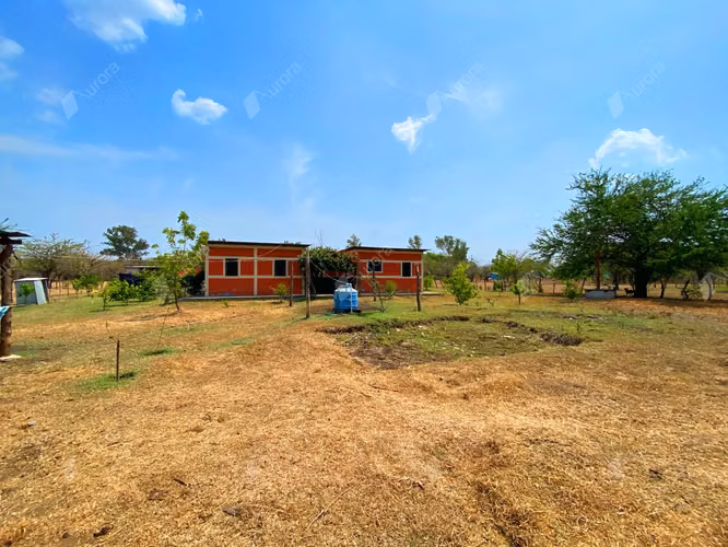 Tranquil Homestead on the Outskirts of Leon - Imagen 5