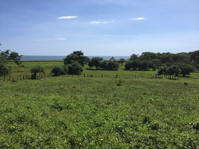 Nahualapa Bay Lots - Imagen 4