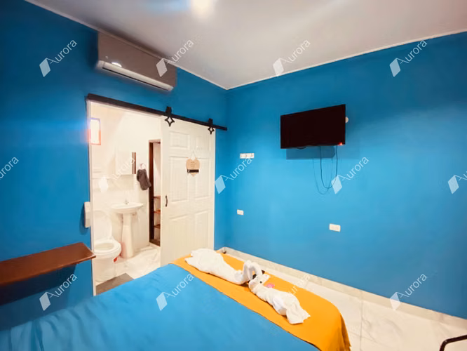 Hotel Business Opportunity in Leon - Imagen 20