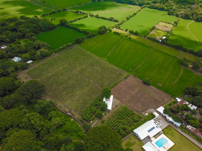 Multi Business For Sale   Restaurant   recreation area   farm. - Imagen 9