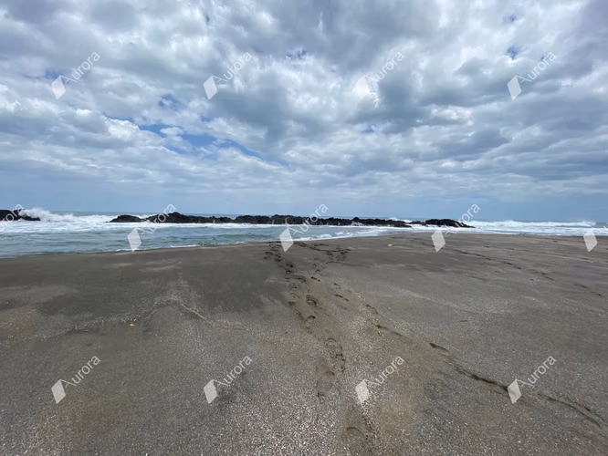 AL2716 Amazing property at El Transito - Imagen 7