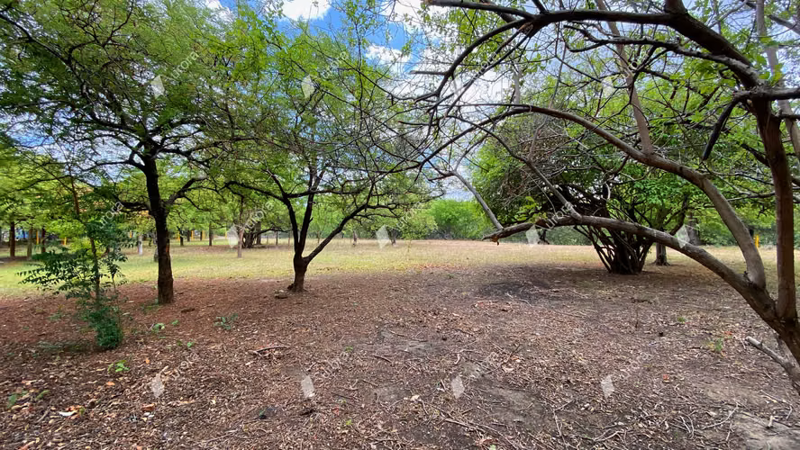AL2716 Amazing property at El Transito - Imagen 11