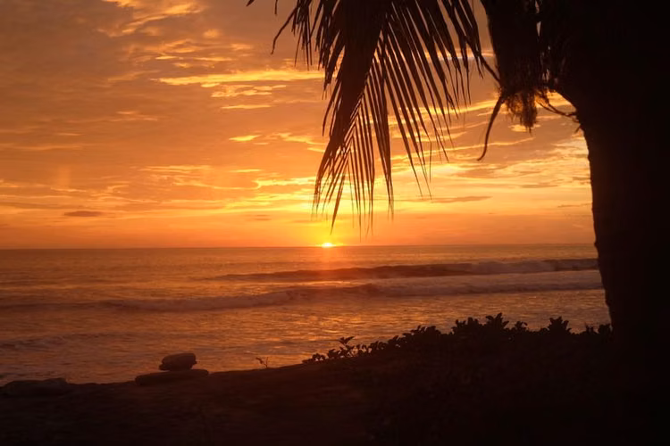 AL2294 Spectacular Hillside Ocean Views - Imagen 9