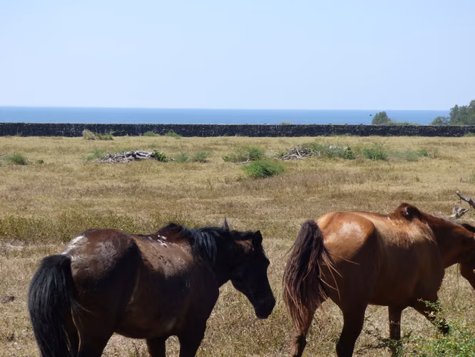 Al 2181      2.8 Acres Overlooking Nahualapa - Imagen 6