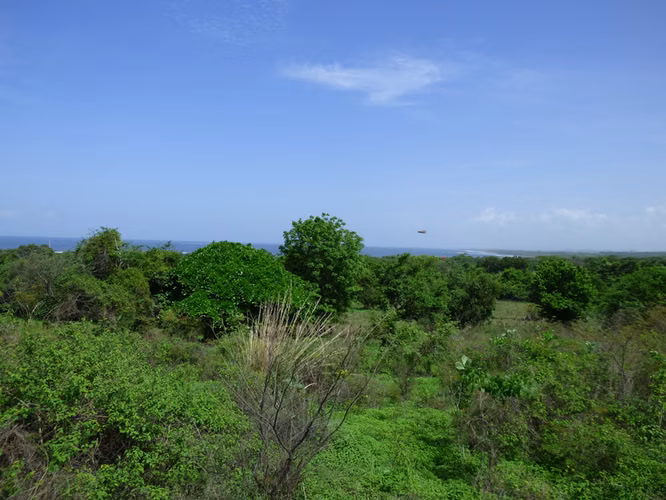Al 2148 19 Acres with Ocean Views to Nahualapa Bay - Imagen 5
