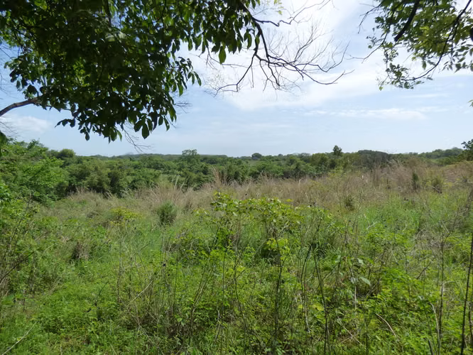 Al 2148 19 Acres with Ocean Views to Nahualapa Bay - Imagen 2