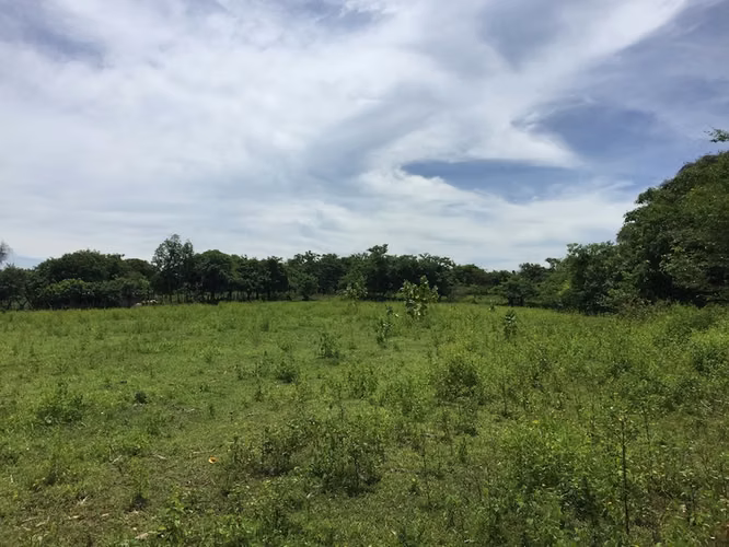 Al 2147 Lush 1.75 Acres with Ocean View - Imagen 3