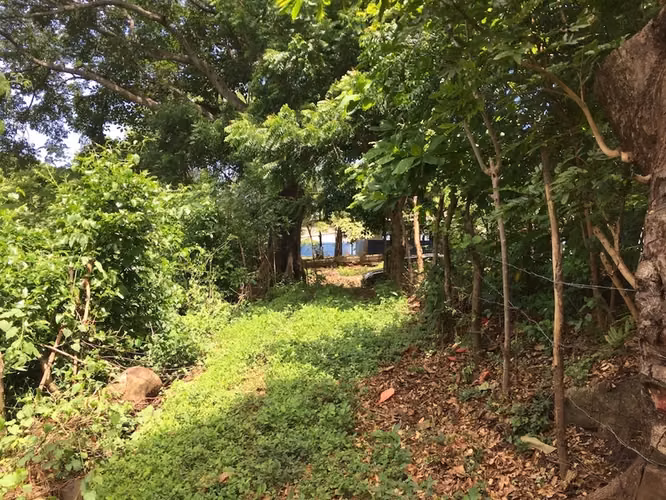 Al 2147 Lush 1.75 Acres with Ocean View - Imagen 5