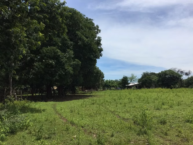 Al 2147 Lush 1.75 Acres with Ocean View - Imagen 2