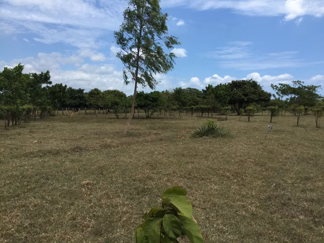 AL 1846 Finca del Mar SPECIAL OFFER - Imagen 5
