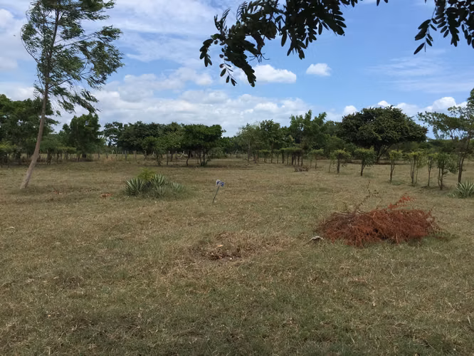 AL 1846 Finca del Mar SPECIAL OFFER - Imagen 4