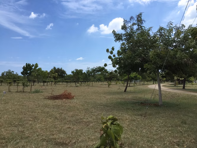 AL 1846 Finca del Mar SPECIAL OFFER - Imagen 6